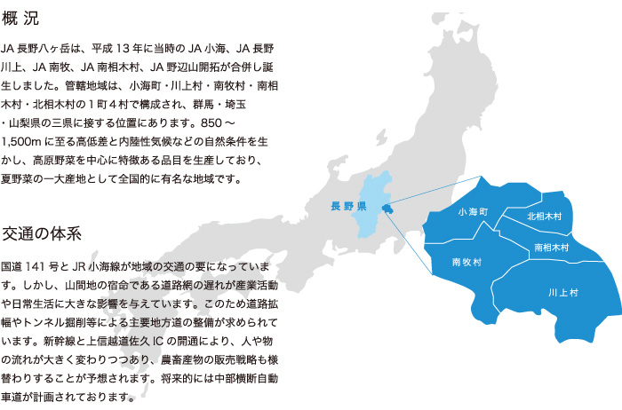 概況：JA長野八ヶ岳の管轄地域は、川上村・南牧村・小海町・南相木村・北相木村の１町４村で構成され、群馬・埼玉・山梨県の三県に接する位置にあります。850〜1,500mに至る高低差と内陸性気候などの自然条件を生かし、高原野菜を中心に特徴ある品目を生産しており、夏野菜の一大産地として全国的に有名な地域です。交通の体系：国道141号とJR小海線が地域の交通の要になっています。しかし、山間地の宿命である道路網の遅れが産業活動や日常生活に大きな影響を与えています。このため道路拡幅やトンネル掘削等による主要地方道の整備が求められています。新幹線と上信越道佐久ICの開通により、人や物の流れが大きく変わりつつあり、農畜産物の販売戦略も様替わりすることが予想されます。将来的には中部横断自動車道が計画されております。