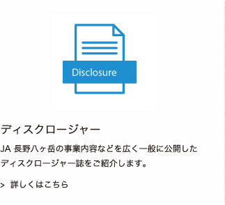 ディスクロージャー
