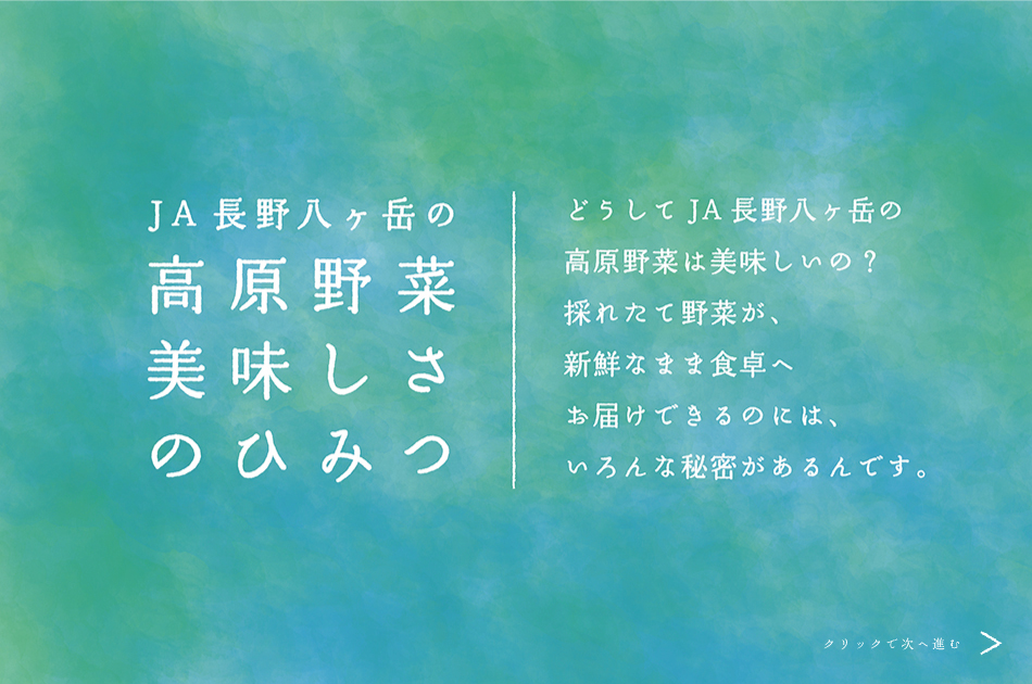 【JA長野八ヶ岳の高原野菜の美味しさのひみつ】どうしてJA長野八ヶ岳の高原野菜は美味しいの？採れたて野菜が、新鮮なまま食卓へお届けできるのには、いろいろな秘密があるんです。　クリックで先に進みます